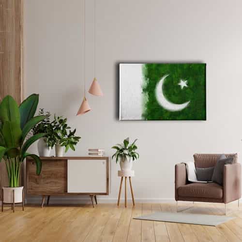 Pakistan Bayrağı Kanvas Tablo