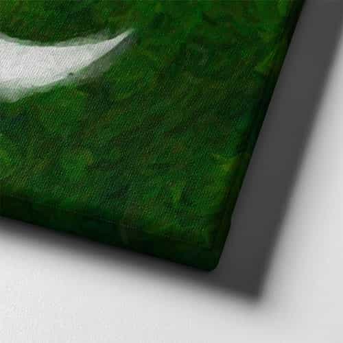 Pakistan Bayrağı Kanvas Tablo