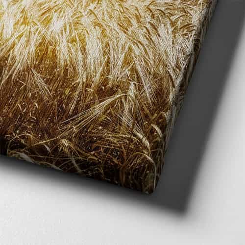 Traktör Canvas Tablo