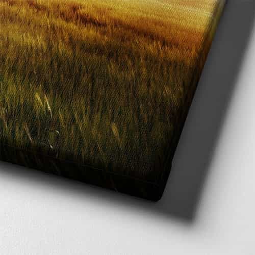 Traktör Canvas Tablo