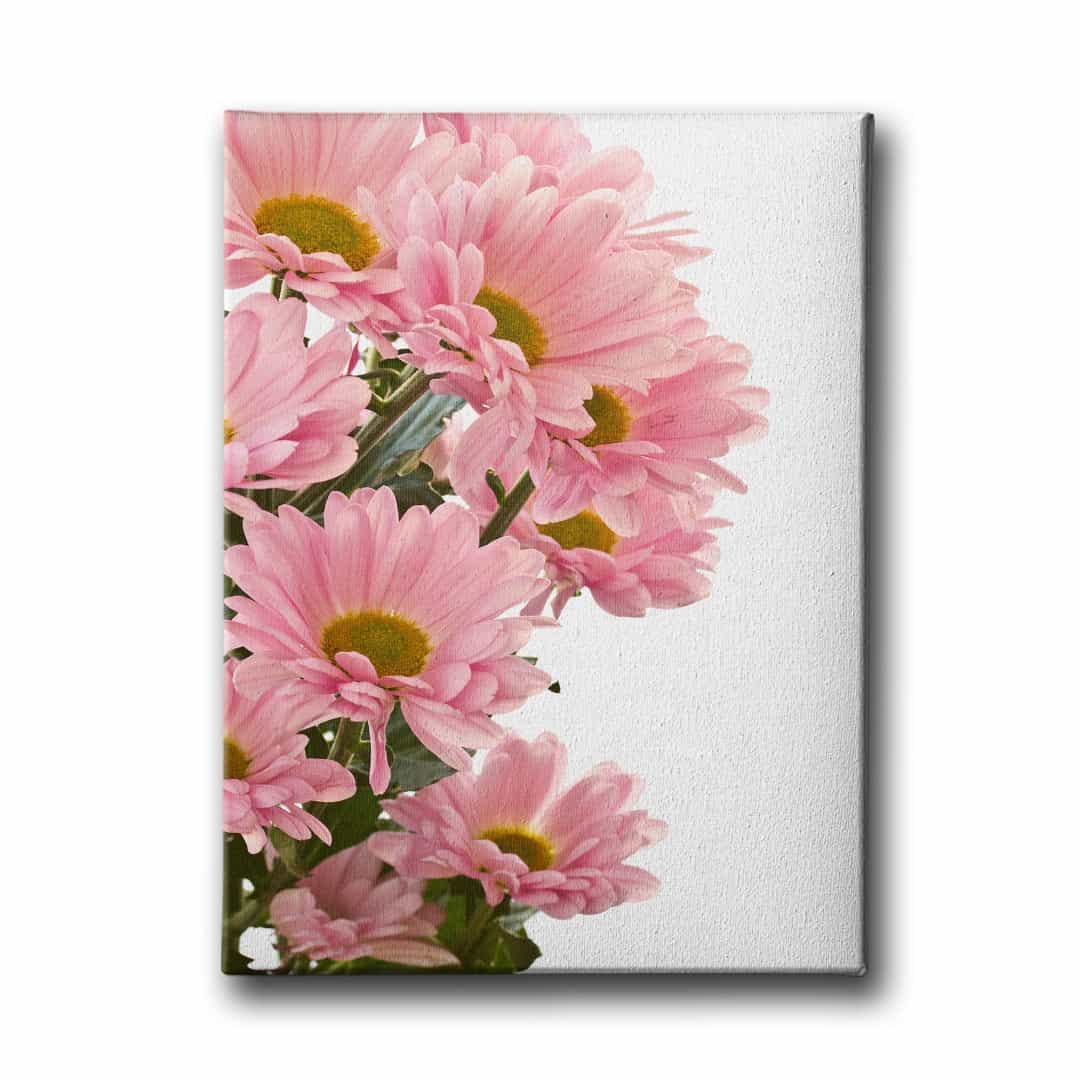 Pembe Papatyalı Tablo