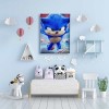 Sonic Boom Çocuk Kanvas Tablo Sonic Boom Çocuk Kanvas Tablo