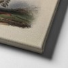 Kızılderili Canvas Tablo Kızılderili Canvas Tablo