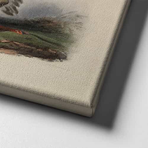 Kızılderili Canvas Tablo Kızılderili Canvas Tablo