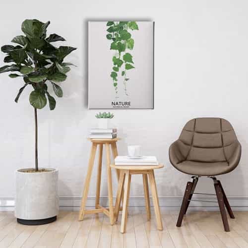 Botanik Canvas Tablo