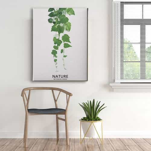 Botanik Canvas Tablo