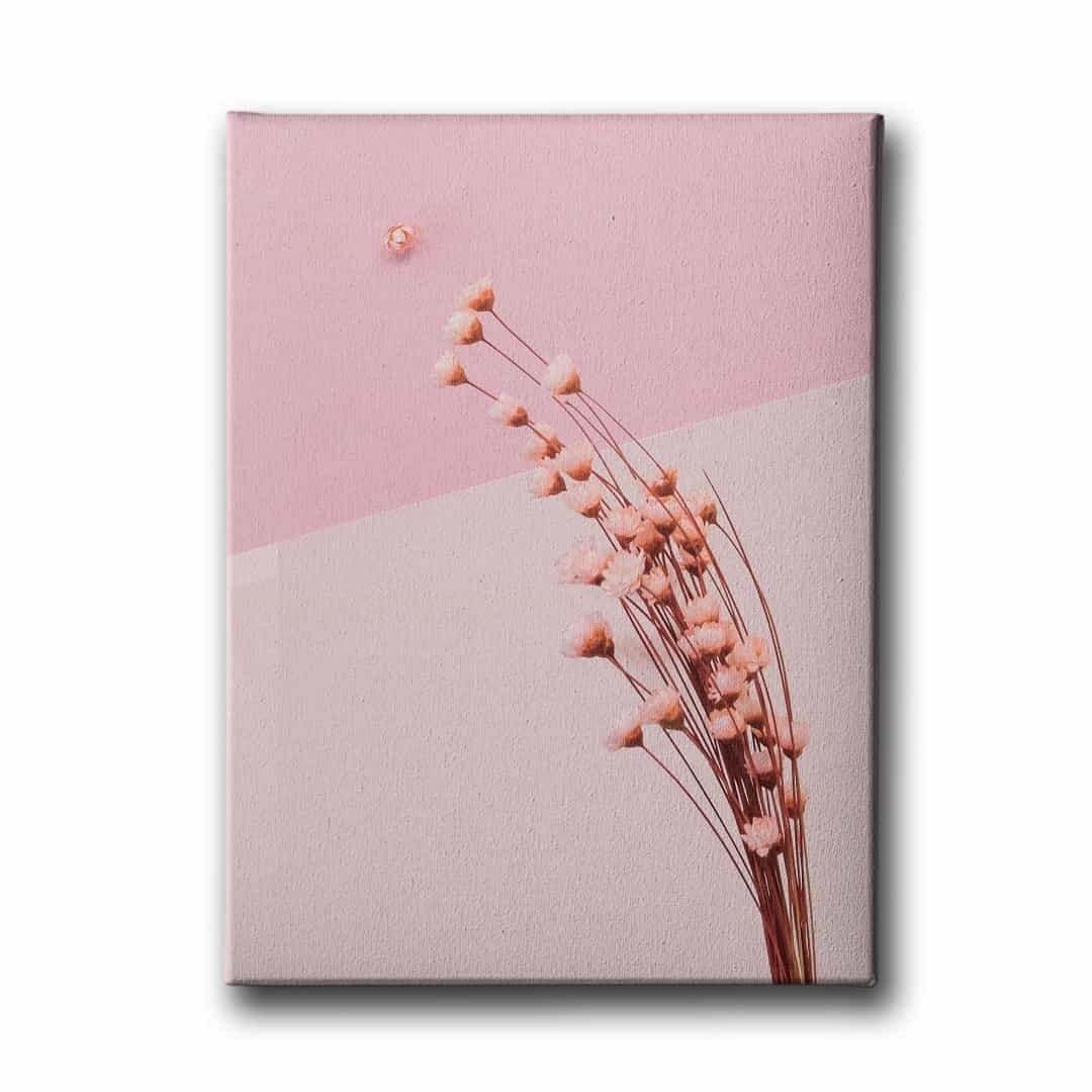 Tüllüşah Otu Canvas Tablo