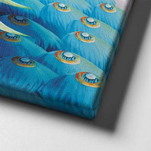 Tavus Kuşu Canvas Tablo