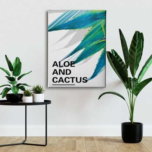Aloe And Cactüs Canvas Tablo