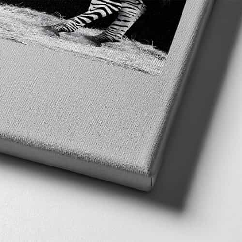Zebra Canvas Tablo