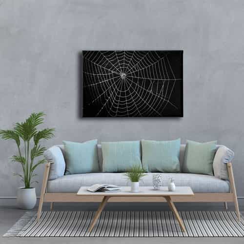 Örümcek Ağı  Canvas Tablo