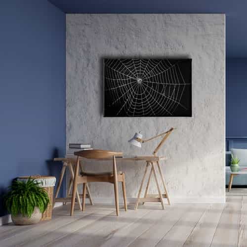 Örümcek Ağı  Canvas Tablo